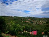 甘肃省,临夏州,东乡区,赵家乡,甘土沟村