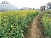 广西,贺州市,富川县,朝东镇,油沐村