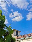 山东省,烟台市,招远市,辛庄镇,北截村