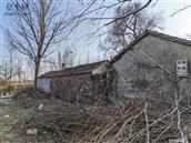 山东省,临沂市,临沭县,临沭街道,西河口村