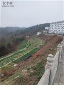 陕西省,安康市,汉滨区,关家镇,小关村