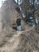 陕西省,渭南市,合阳县,和家庄镇,东马村