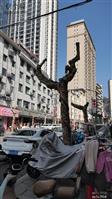 陕西省,商洛市,柞水县,杏坪镇,肖台村