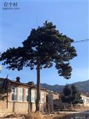 河北省,张家口市,涿鹿县,大堡镇,三道沟村