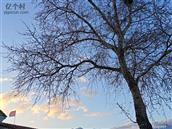 河北省,张家口市,涿鹿县,大堡镇,三道沟村