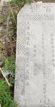 山东省,烟台市,莱州市,朱桥镇,西王村