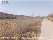 辽宁省,朝阳市,龙城区,半拉山街道,半拉山村