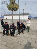 陕西省,安康市,汉滨区,关家镇,小关村