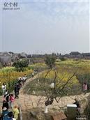 四川省,广安市,邻水县,龙安镇,天鹅村