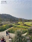 四川省,广安市,邻水县,龙安镇,天鹅村