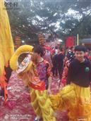 广东省,湛江市,遂溪县,城月镇,仁里村