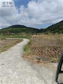 浙江省,温州市,泰顺县,三魁镇,卢梨村