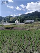 浙江省,温州市,泰顺县,三魁镇,卢梨村