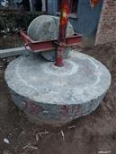 山东省,菏泽市,单县,龙王庙镇,戚集村