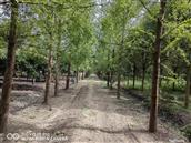 江苏省,盐城市,东台市,梁垛镇,孔堡村