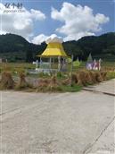 浙江省,温州市,泰顺县,三魁镇,卢梨村