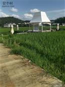 浙江省,温州市,泰顺县,三魁镇,卢梨村