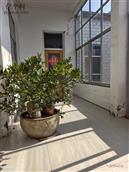 山东省,泰安市,宁阳县,东疏镇,柳园村