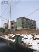 河北省,邯郸市,永年区,大北汪镇,刘北汪村