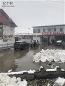 河北省,邯郸市,永年区,讲武乡,张虎庄村