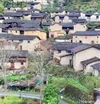 浙江省,丽水市,庆元县,张村乡,后溪村