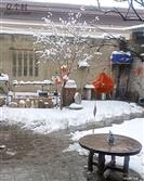 河北省,石家庄市,赞皇县,赞皇镇,北沟村