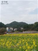 浙江省,衢州市,柯城区,石梁镇,里前坞村