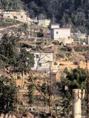 贵州省,毕节市,威宁县,龙场镇,田元村