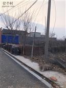 河北省,邯郸市,永年区,大北汪镇,刘北汪村