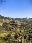 贵州省,毕节市,威宁县,龙场镇,田元村