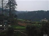 贵州省,黔东南州,凯里市,三棵树镇,南高村