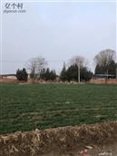 河北省,邯郸市,永年区,大北汪镇,刘北汪村