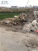 河北省,邯郸市,永年区,大北汪镇,刘北汪村