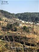 贵州省,毕节市,威宁县,龙场镇,田元村