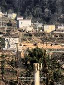 贵州省,毕节市,威宁县,龙场镇,田元村