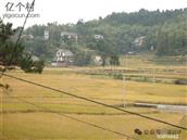 浙江省,温州市,永嘉县,桥下镇,吴垟村