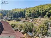 浙江省,温州市,永嘉县,桥下镇,吴垟村