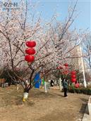 河北省,石家庄市,赞皇县,赞皇镇,北沟村