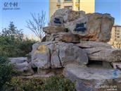 山东省,潍坊市,安丘市,柘山镇,槐抱榆村