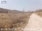 辽宁省,朝阳市,龙城区,半拉山街道,半拉山村