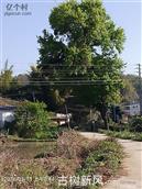 广东省,梅州市,兴宁市,径南镇,宝兴村