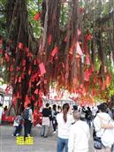 山西省,忻州市,忻府区,解原乡,北张村