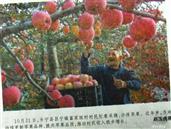 山西省,临汾市,乡宁县,昌宁镇,富家垣村