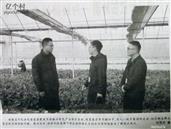 福建省,三明市,宁化县,城郊乡,瓦庄村