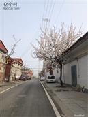 河北省,邯郸市,永年区,大北汪镇,柳村