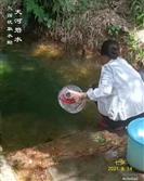 广东省,河源市,龙川县,麻布岗镇,向前村