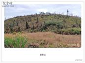 广东省,河源市,龙川县,麻布岗镇,向前村