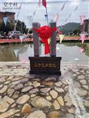 广东省,河源市,龙川县,麻布岗镇,向前村