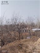 山西省,临汾市,洪洞县,赵城镇,新庄村