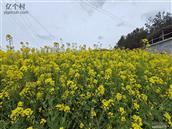 陕西省,安康市,紫阳县,双安镇,白马石村